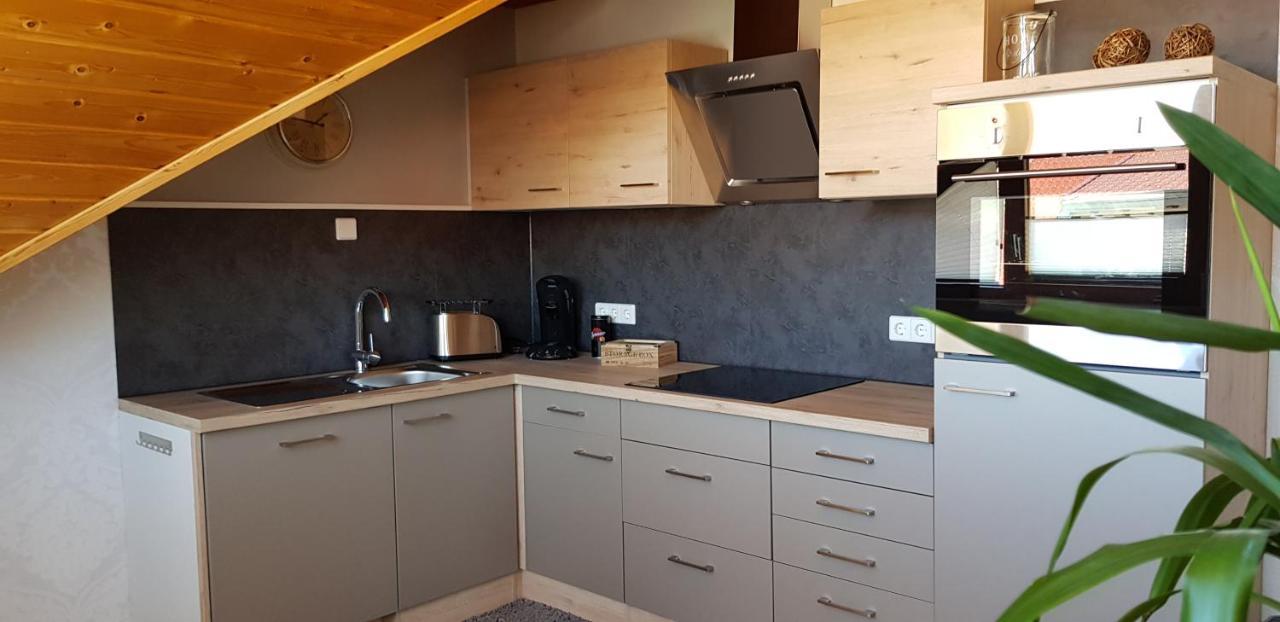 Appartment Sonnenblick Dielheim Экстерьер фото