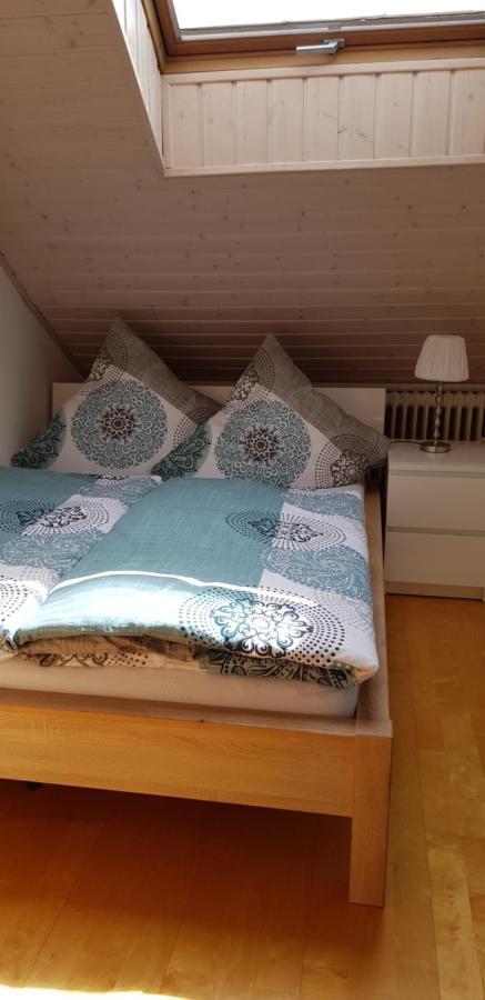 Appartment Sonnenblick Dielheim Экстерьер фото